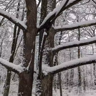 Stephen P Wallace Park - Voorheesville, NY