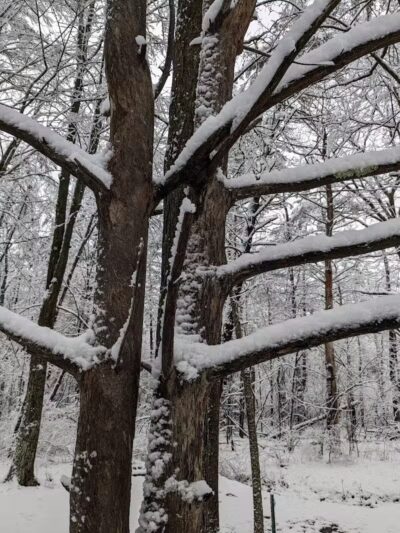 Stephen P Wallace Park - Voorheesville, NY