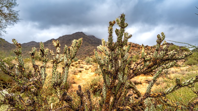Black Rock Loop Trailhead - Waddell, AZ