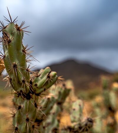 Black Rock Loop Trailhead - Waddell, AZ