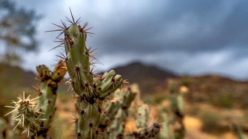 Black Rock Loop Trailhead - Waddell, AZ