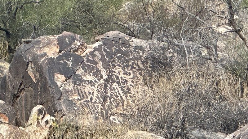 Black Rock Loop Trailhead - Waddell, AZ