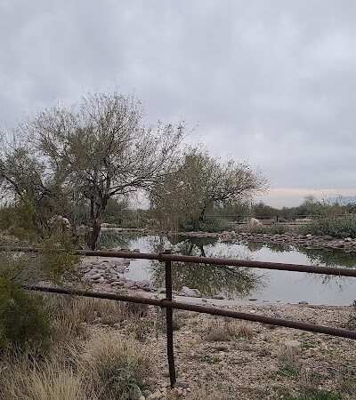 Mule Deer Trailhead - Waddell, AZ