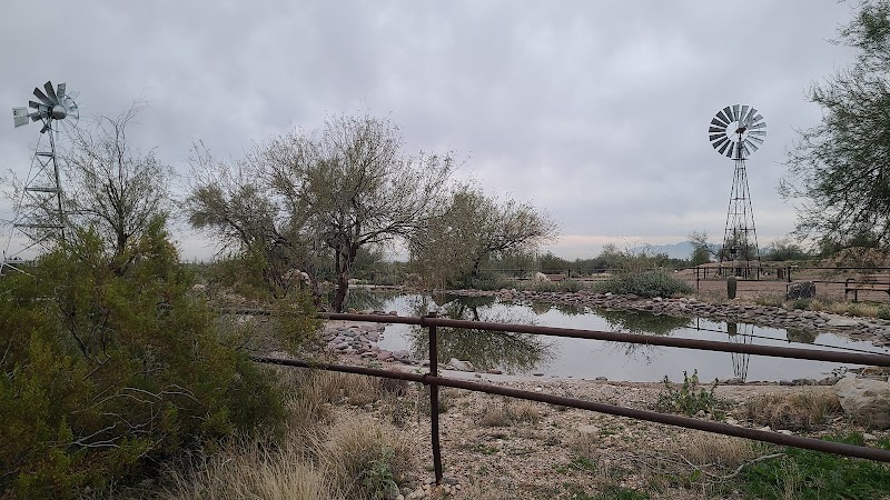 Mule Deer Trailhead - Waddell, AZ