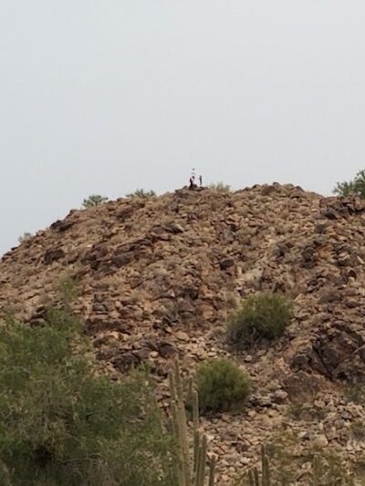 Mule Deer Trailhead - Waddell, AZ
