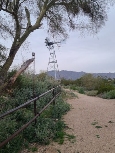 Mule Deer Trailhead - Waddell, AZ