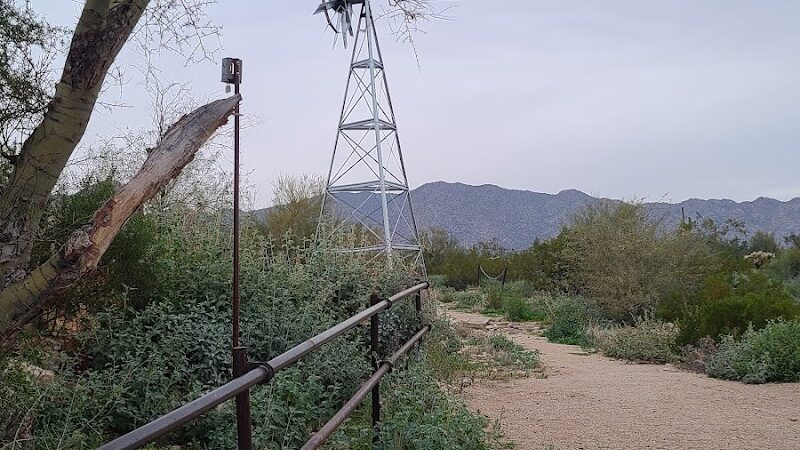 Mule Deer Trailhead - Waddell, AZ