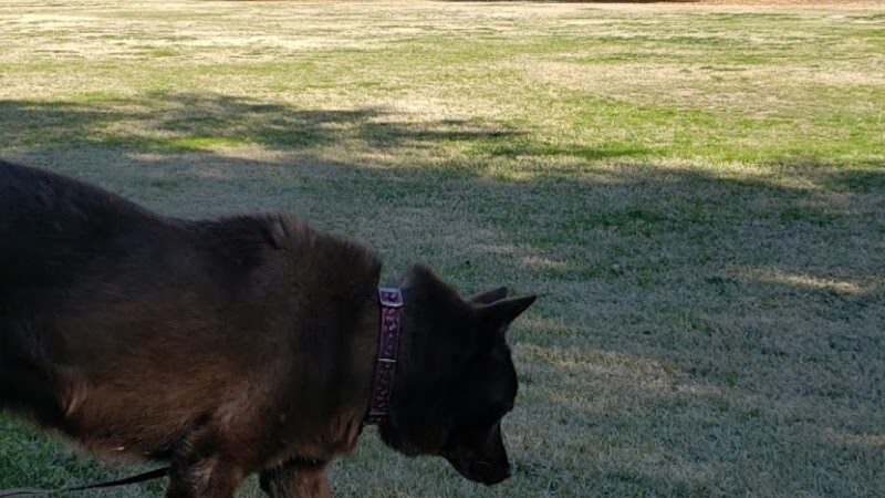 Park with Playground - Waddell, AZ