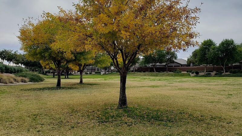 Park with Playground - Waddell, AZ