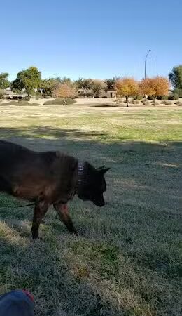 Park with Playground - Waddell, AZ