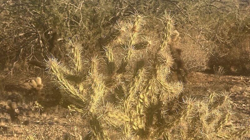 South Trailhead - Waddell, AZ