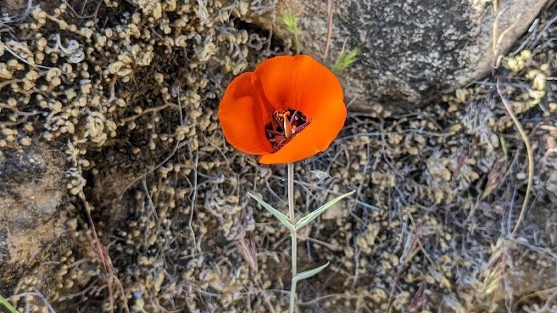 South Trailhead - Waddell, AZ