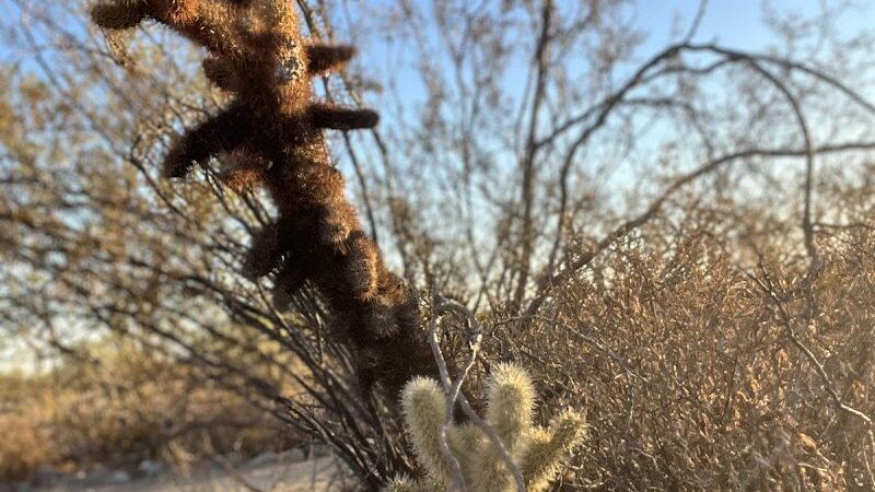 South Trailhead - Waddell, AZ