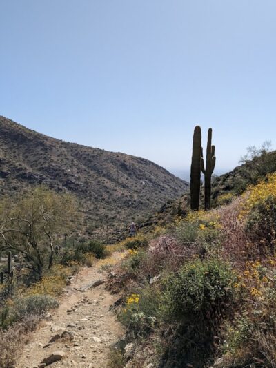 South Trailhead - Waddell, AZ