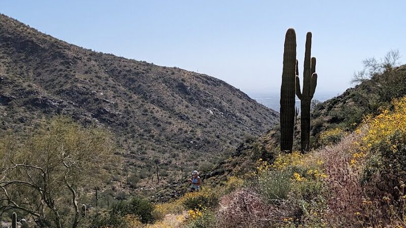 South Trailhead - Waddell, AZ