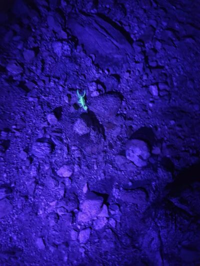 South Trailhead - Waddell, AZ