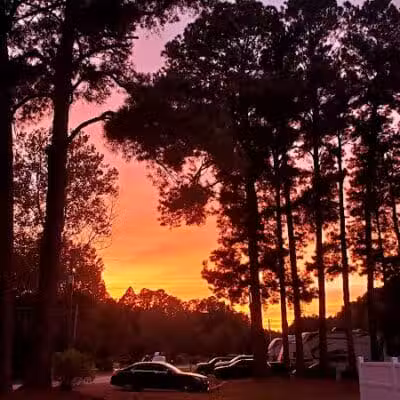 Fayetteville RV Resort & Cottages - Wade, NC