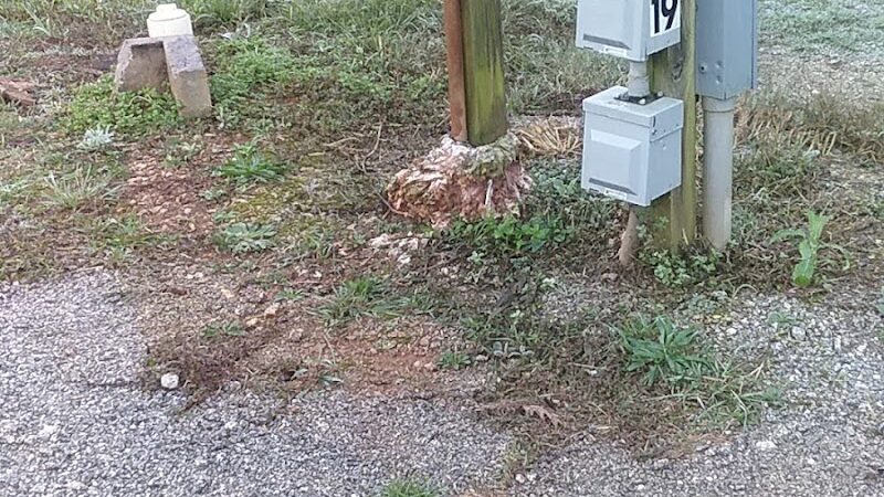 Big K's RV Park - Wadley, AL