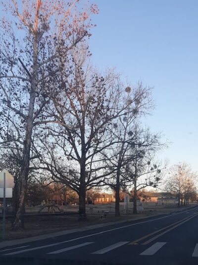 Waldron City Park - Waldron, AR