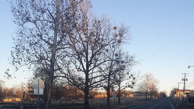 Waldron City Park - Waldron, AR