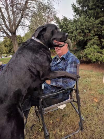 Fort Walla Walla Dog Park - Walla Walla, WA