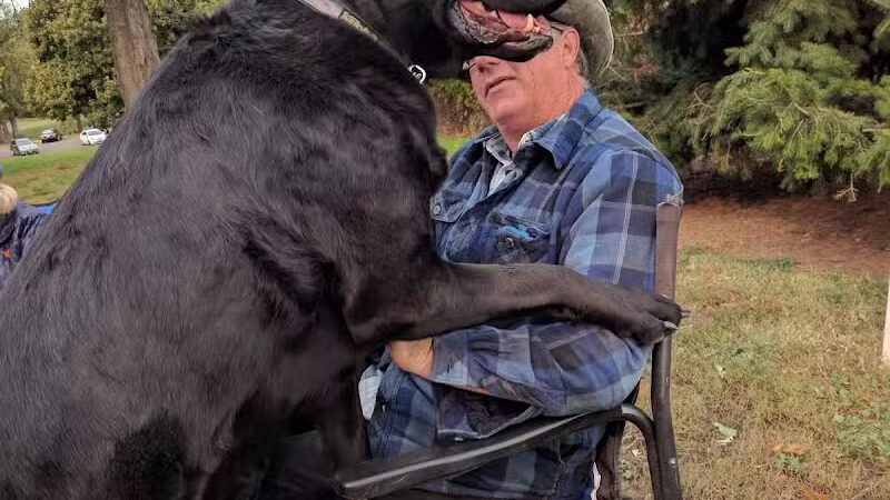 Fort Walla Walla Dog Park - Walla Walla, WA