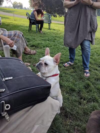 Fort Walla Walla Dog Park - Walla Walla, WA