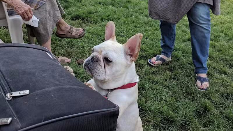 Fort Walla Walla Dog Park - Walla Walla, WA