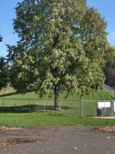 Fort Walla Walla Dog Park - Walla Walla, WA