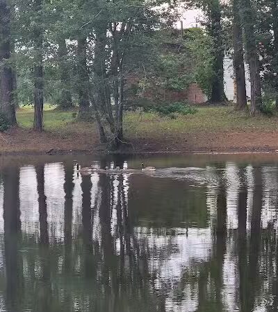 Farrior Park - Wallace, NC