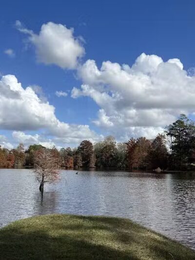 Farrior Park - Wallace, NC