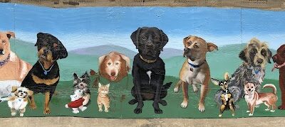 Ware Dog Park - Ware, MA