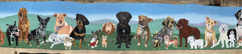 Ware Dog Park - Ware, MA
