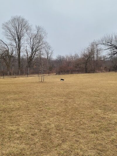 East County Park - Dog Park