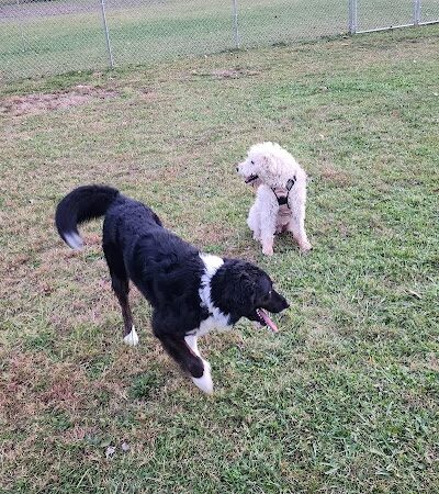 Woofington Dog Park - Warren, PA