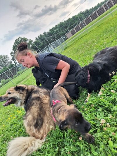 Woofington Dog Park - Warren, PA