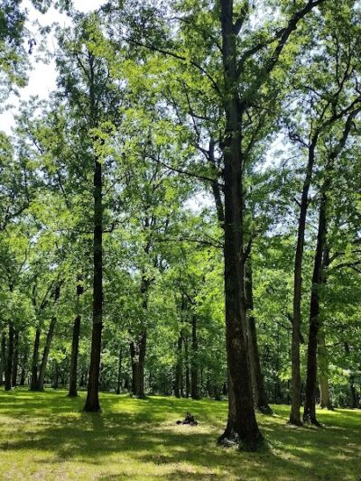 Dyer Park - Warrenton, MO