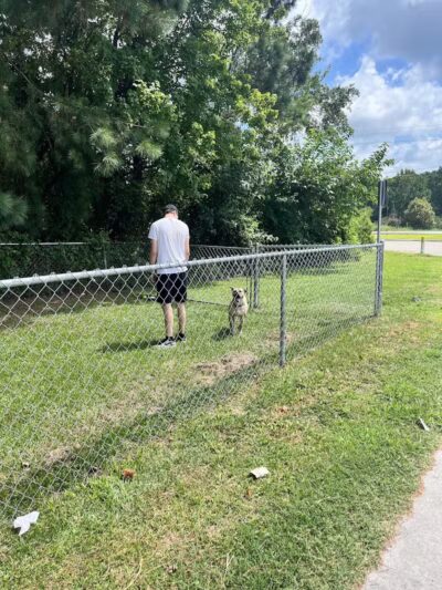 Pet potty - Warsaw, NC