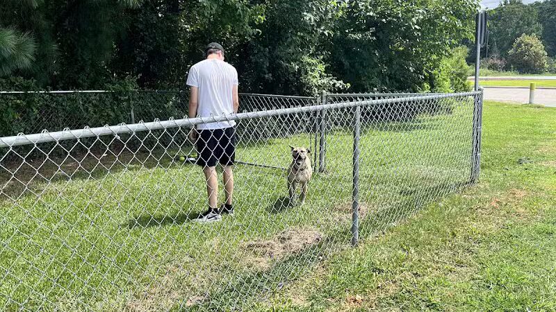 Pet potty - Warsaw, NC