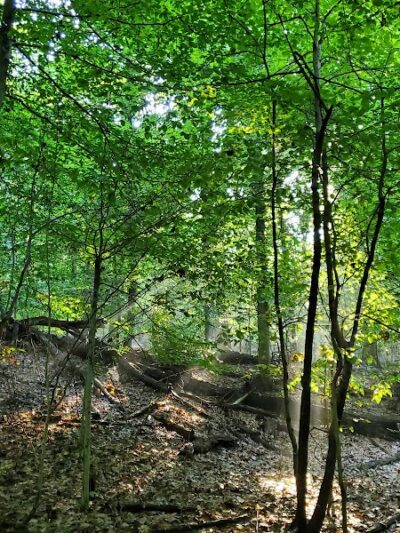 Fort Dupont Park - Washington,