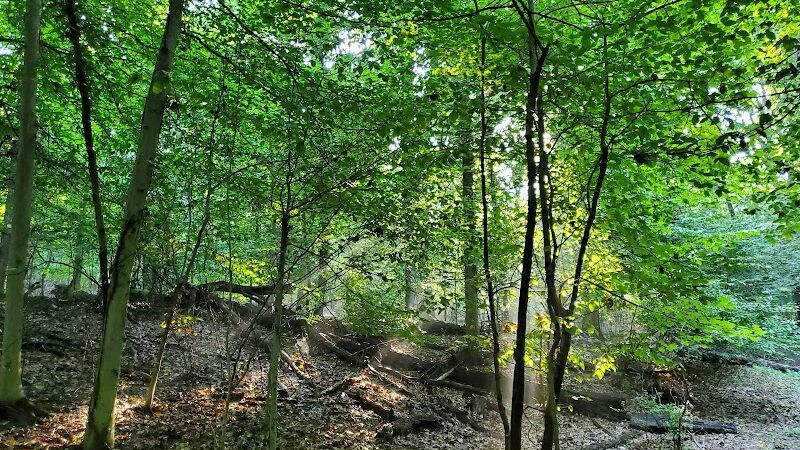 Fort Dupont Park - Washington,