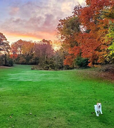 Fort Dupont Park - Washington,