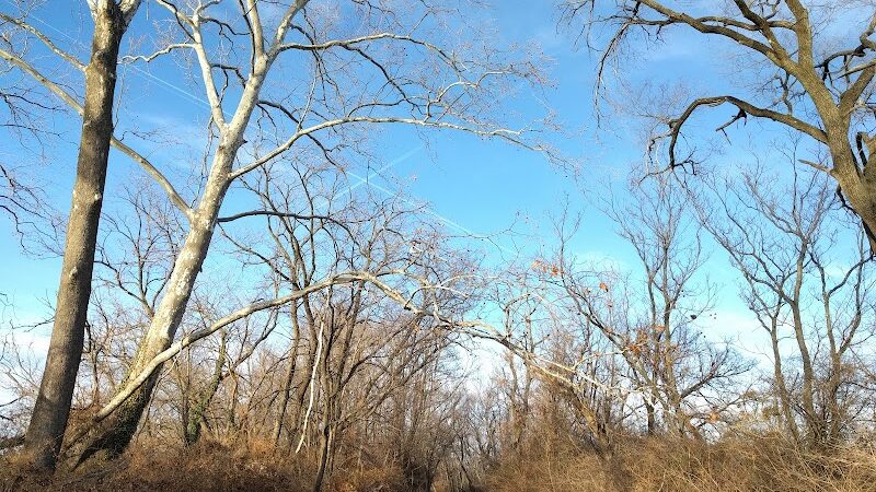 Kingman Island Trail - Washington,