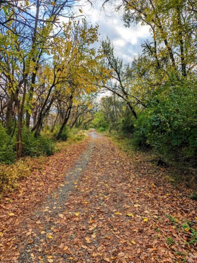 Kingman Island Trail - Washington,