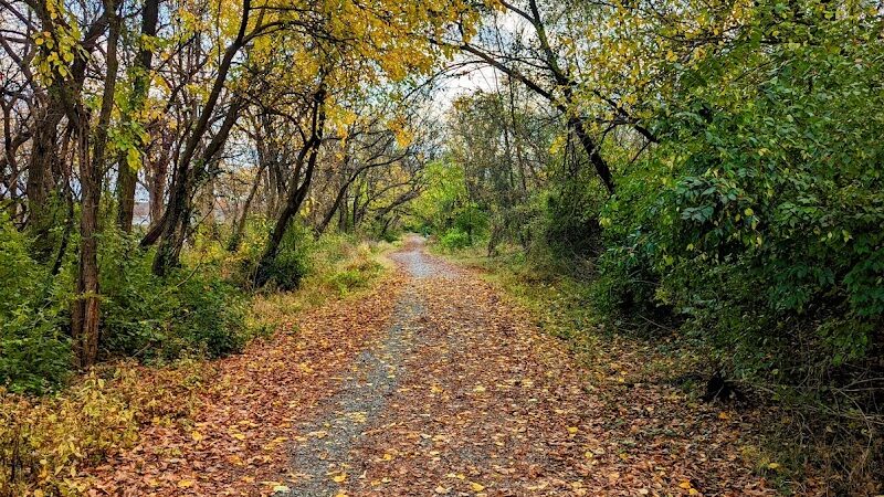Kingman Island Trail - Washington,