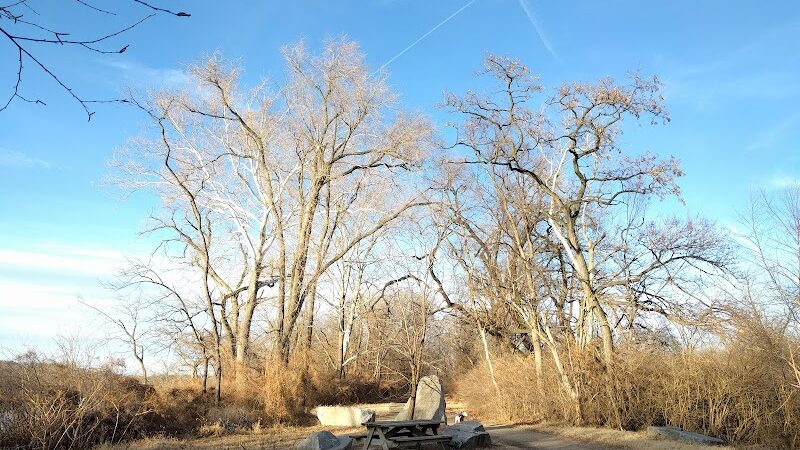 Kingman Island Trail - Washington,