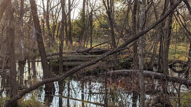 Kingman Island Trail - Washington,