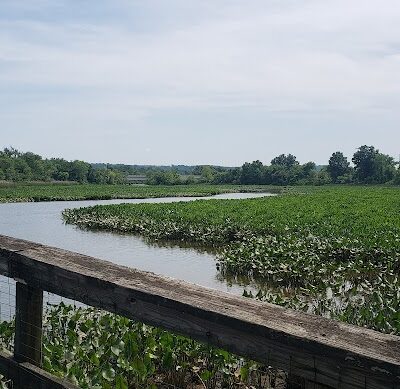 Kingman Island Trail - Washington,