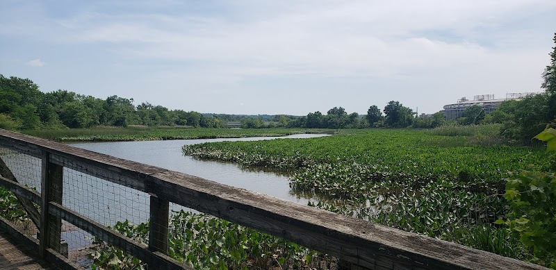 Kingman Island Trail - Washington,