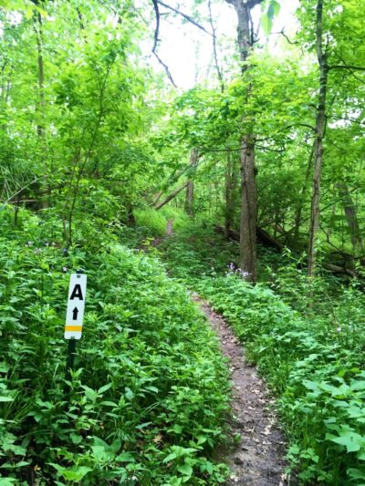 Meadow Valley Park & Dog Park - Washington, IL